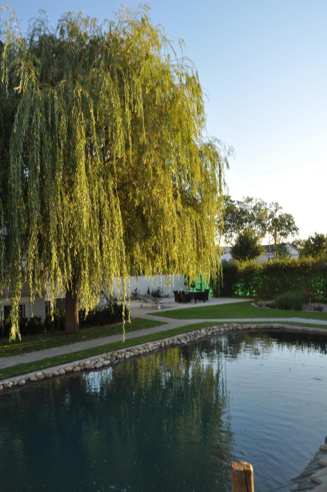 Kirchers Park & Wellnesshotel Kaiserstuhl Garni Endingen am Kaiserstuhl Extérieur photo