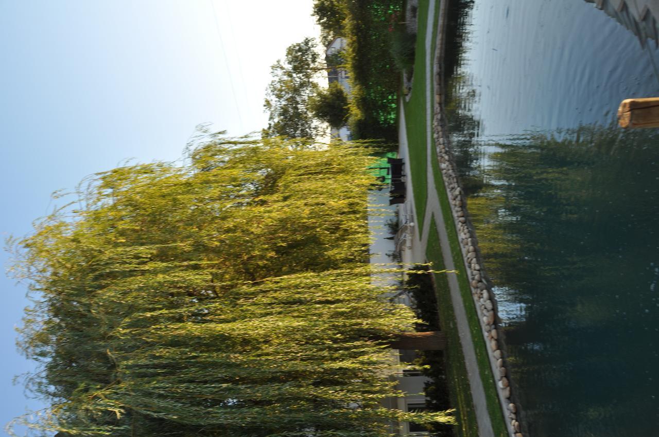 Kirchers Park & Wellnesshotel Kaiserstuhl Garni Endingen am Kaiserstuhl Extérieur photo